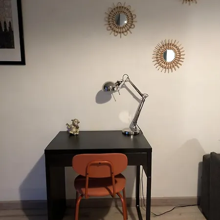 T3 Lumineux Avec Balcon Apartment