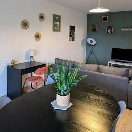 T3 Lumineux Avec Balcon Villeurbanne